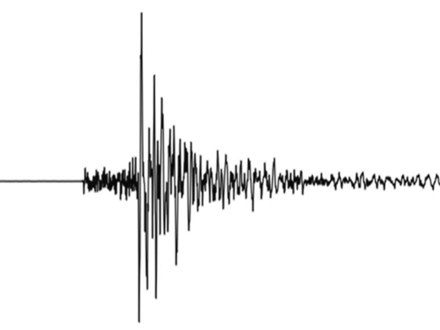 Die meisten Erdbebentypen sind anhand des Seismogramms kaum zu unterscheiden